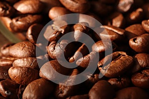 Coffee beans arabica