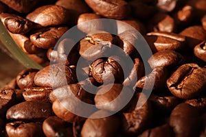 Coffee beans arabica