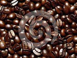 Vector seamless background with coffee beans,Coffee beans as the background