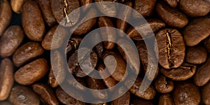 coffee beans background. close up.
