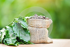 Coffee beans in bag / Roasted coffee in sack with green leaf on wooden table and nature green