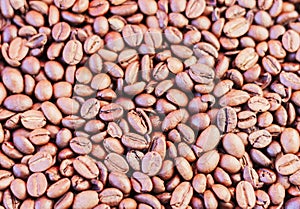Coffee beans brown background - copy space for text