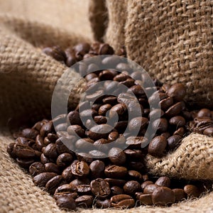 Coffee beans on burlap fabric