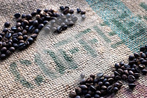 Coffee Beans on a Burlap Sack