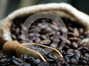 Coffee beans, burlap sack, bag and scoop
