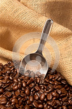 Coffee beans in burlap sack with scoop