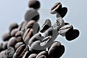 Coffee Beans caffeine seeds with aromatic flavor with a cup
