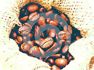 Coffee beans in canvas