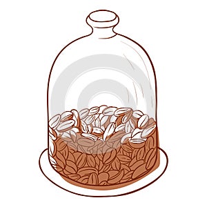 Coffee beans in a close jar, glass container