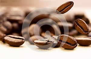 coffee beans close-up leviegetation
