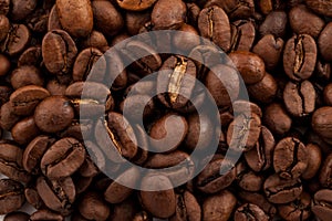 Coffee beans closeup photo