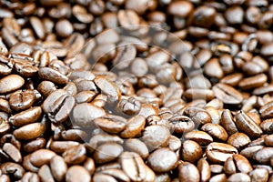 Coffee beans. photo
