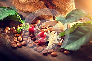 Coffee beans, coffee flowers and leaves