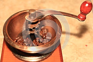 Coffee beans in a coffee grinder