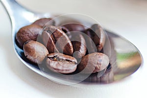 Coffee beans in coffee spoon on white