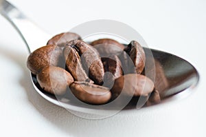 Coffee beans in coffee spoon on white