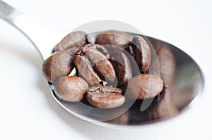Coffee beans in coffee spoon on white background