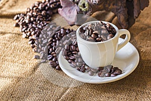 Coffee beans in coffee white cup