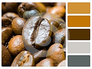 Coffee beans colour palette swatch