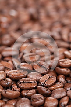 Coffee beans with copy space