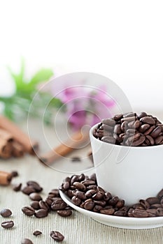 Coffee beans in cup