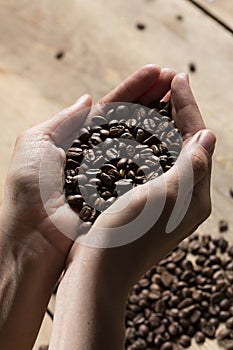Coffee beans cupped in a human hand