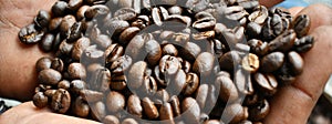Coffee beans dark roat on hand at home
