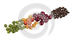 Coffee Beans Degrees of Ripeness