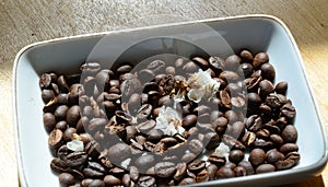 Coffee beans on the dish