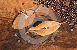 Coffee beans with dry leaves of magnolia