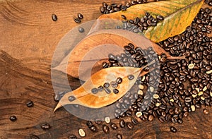 Coffee beans with dry leaves of magnolia