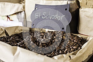 Coffee beans El Salvador origin photo