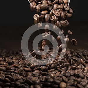 Coffee Beans