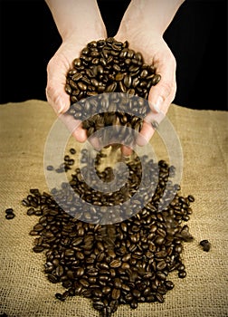 Coffee beans falling from hands