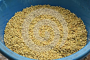 Coffee beans,In the ferment and wash method