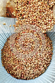 Coffee beans,In the ferment and wash method