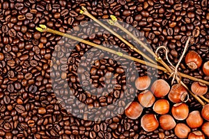 Coffee beans and filberts