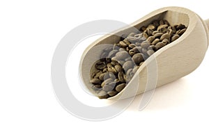 Coffee beans in the food shovel