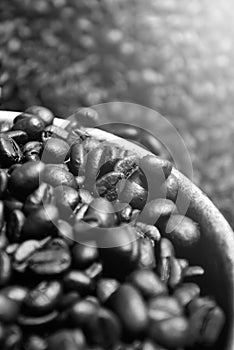 Coffee beans fresh roasted textures