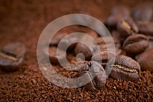 Coffee beans and granules background photo