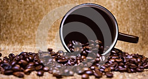 Coffee beans and ground coffee with small cup on wooden background