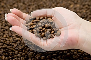 Coffee Beans in Hand