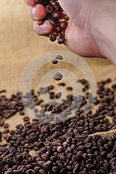Coffee beans in heand