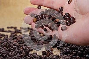 Coffee beans in heand photo