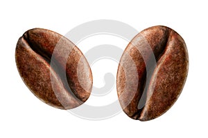 Coffee beans isolated on a white background