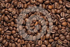 Coffee beans isolated on a white background