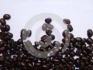 Coffee beans isolated white background, coffee seed