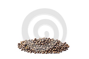 Coffee beans isolated on white background with copyspace for text