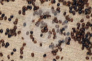 Coffee Beans on Jute