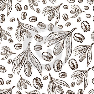 Coffee beans and leaves of Coffea plant seamless pattern